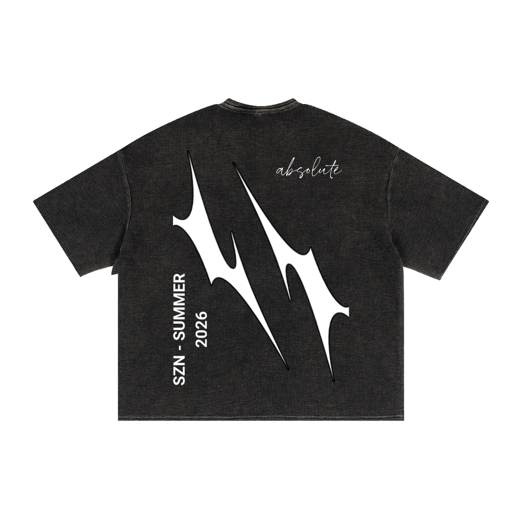 absolute washed shirt - FLAWLESS (SZN - SUMMER 2026)