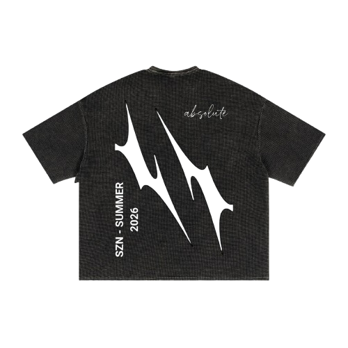 absolute washed shirt - FLAWLESS (SZN - SUMMER 2026)